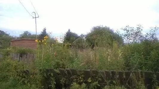 Участок в деревня Мстинский Мост, Лесная улица (12 м) - Фото 2