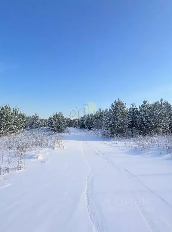 Участок в Иркутская область, Иркутский муниципальный округ, д. ... - Фото 2