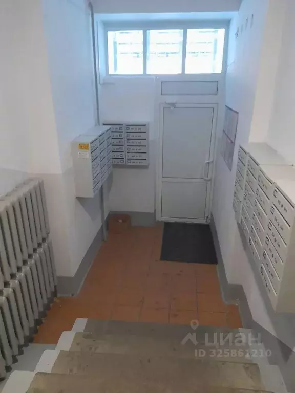 2-к кв. Курганская область, Курган ул. Губанова, 20 (46.9 м) - Фото 2