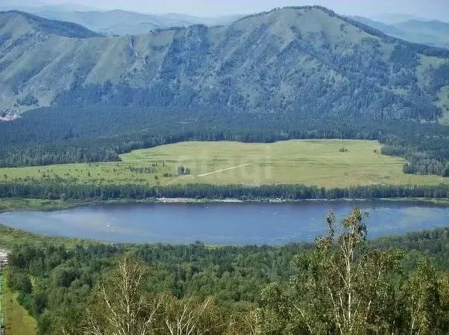 Участок в Алтай, Майминский район, Манжерокское с/пос, с. Озерное ул. ... - Фото 1