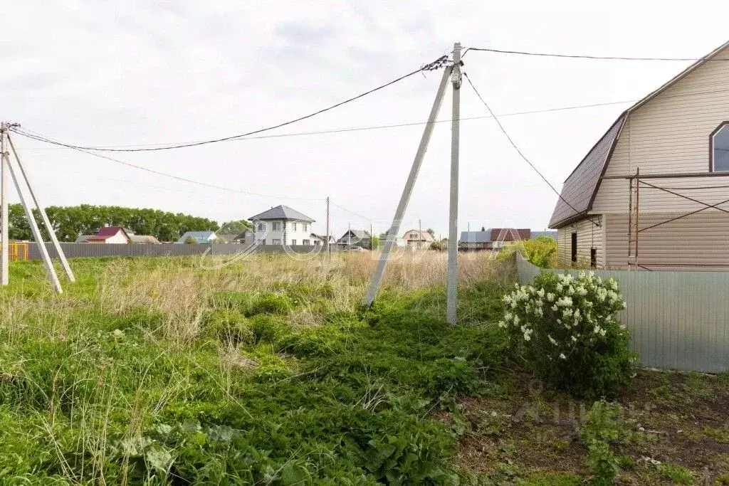 Участок в Тюменская область, Тюменский район, с. Кулаково ул. ... - Фото 1