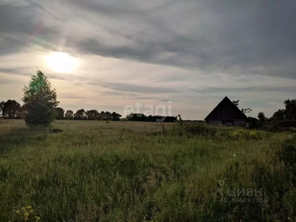 Участок в Пензенская область, Бессоновский район, д. Васильевка ул. ... - Фото 0