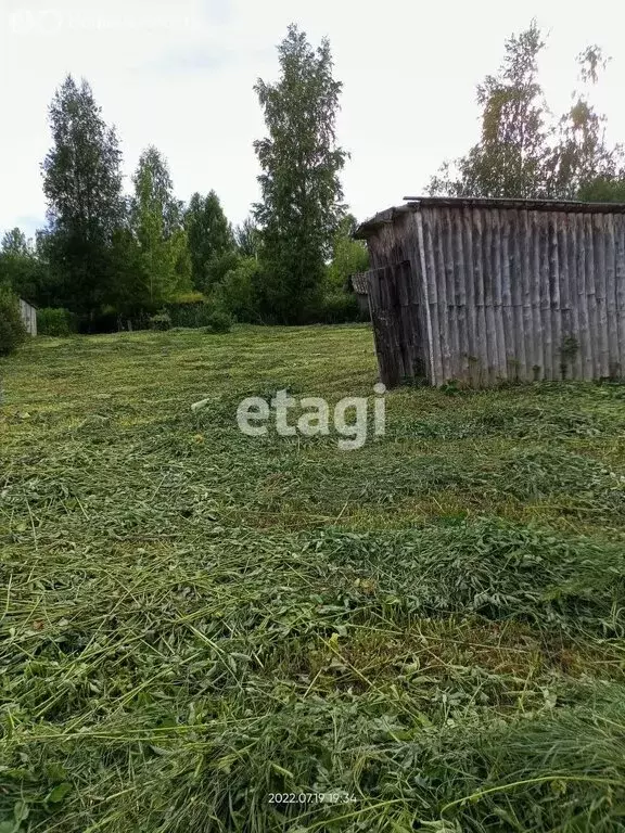 Участок в Большелуцкое сельское поселение, садоводческое ... - Фото 1