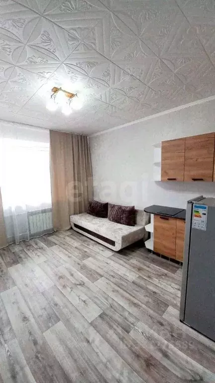Студия Амурская область, Благовещенск Северная ул., 175 (30.0 м) - Фото 2