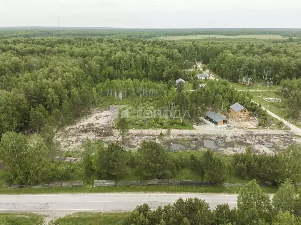 Участок в Новосибирская область, Новосибирский район, Кубовинский ... - Фото 0