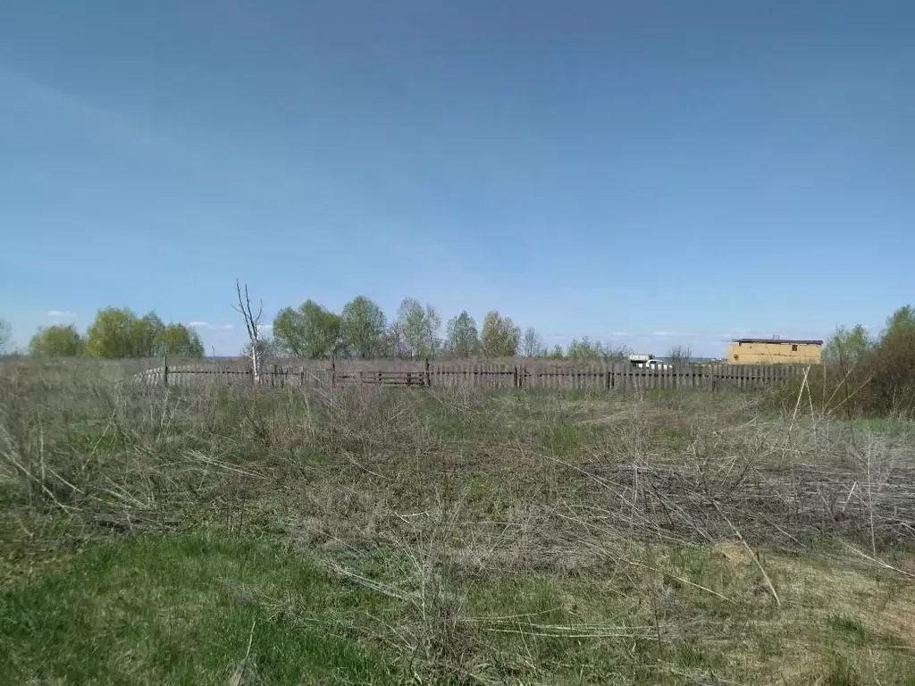 Участок в Саратовская область, Воскресенский район, Елшанское ... - Фото 1