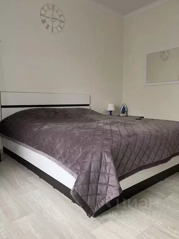 Студия Псковская область, Псковский район, Завеличенская волость, д. ... - Фото 1