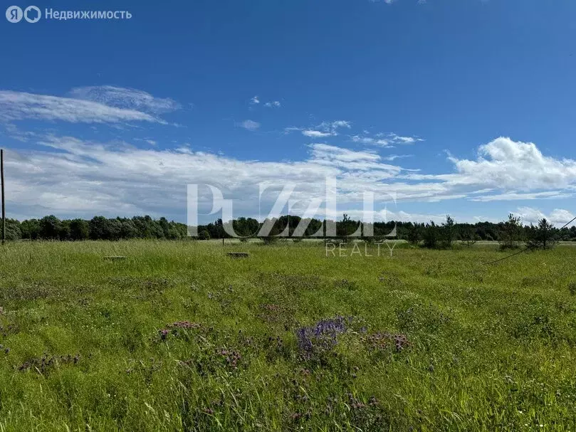 Участок в Московская область, Богородский городской округ, деревня ... - Фото 0