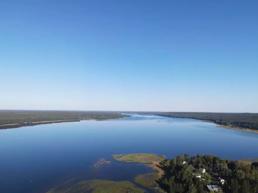 Участок в Ленинградская область, Выборгский район, Рощинское городское ... - Фото 0