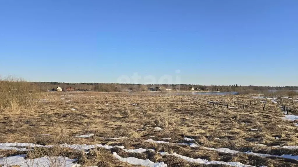 Участок в Ленинградская область, Волховский район, Староладожское ... - Фото 1