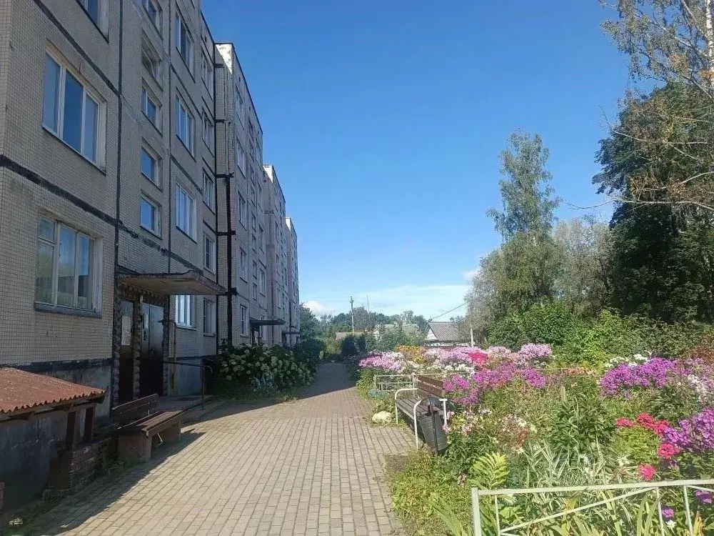 1-к кв. Ленинградская область, Лужский район, пос. Дзержинского Новая ... - Фото 1