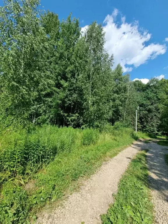 Участок в Тульская область, Советск Щекинский район, Красноармейская ... - Фото 1