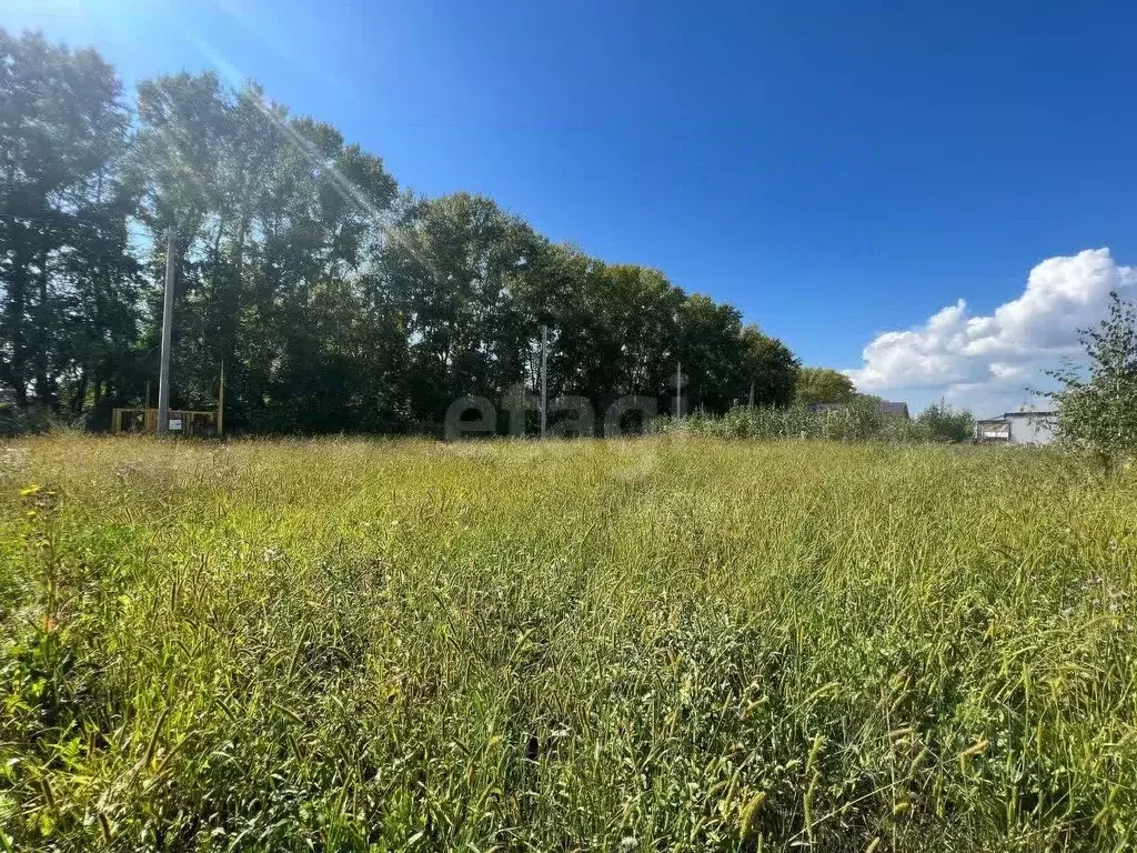 Участок в Новосибирская область, Новосибирский район, Морской ... - Фото 0