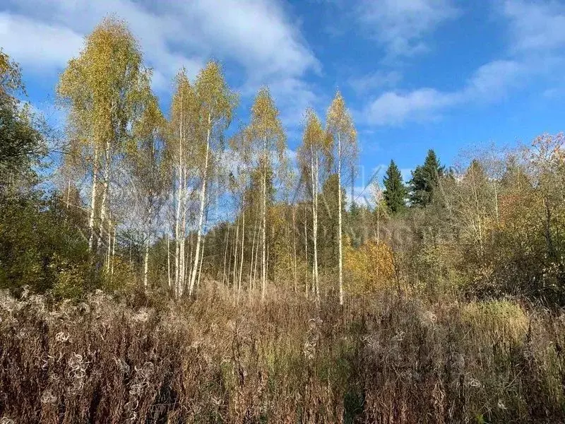 Участок в Ленинградская область, Лодейнопольское городское поселение, ... - Фото 0