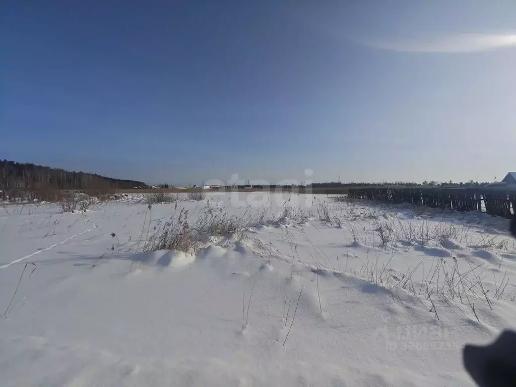 Участок в Курганская область, Курган Сады Зауралья СТ,  (5.55 сот.) - Фото 1