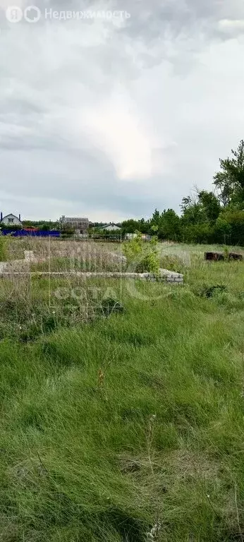 Участок в посёлок совхоза  Воронежский , Спортивная улица, 48Б (15 м) - Фото 1