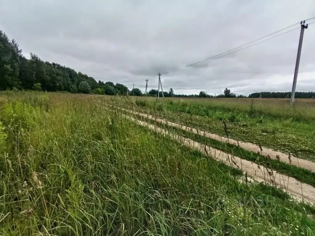 Участок в Нижегородская область, Дальнеконстантиновский муниципальный ... - Фото 1