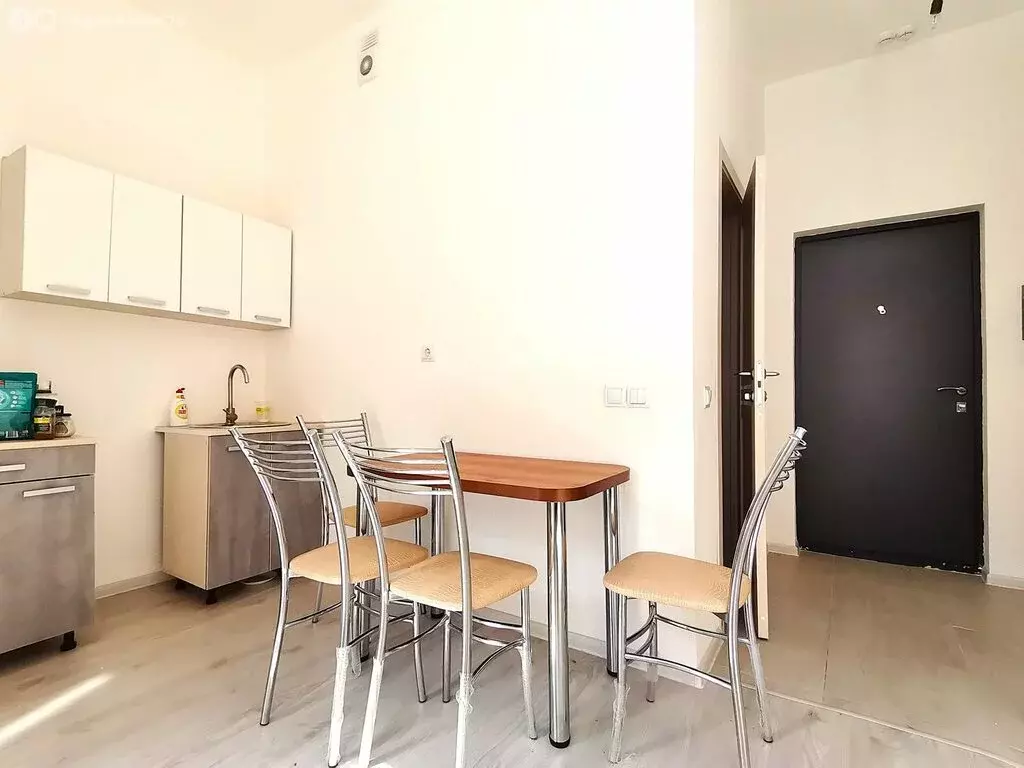 Квартира-студия: Мурино, Ручьёвский проспект, 15 (24 м) - Фото 1
