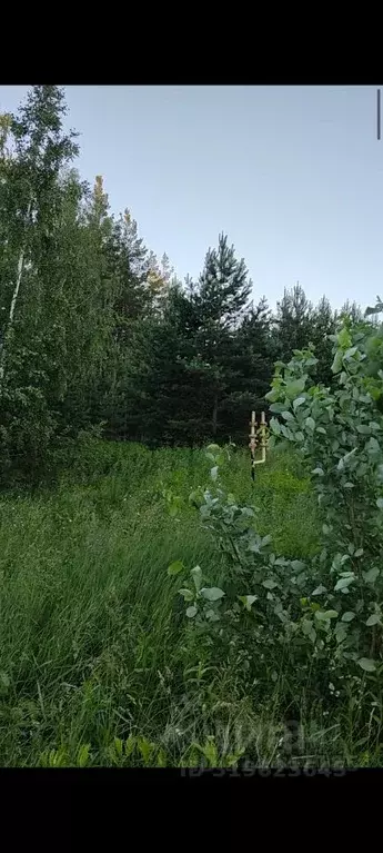 Участок в Московская область, Подольск городской округ, д. Ордынцы ул. ... - Фото 1