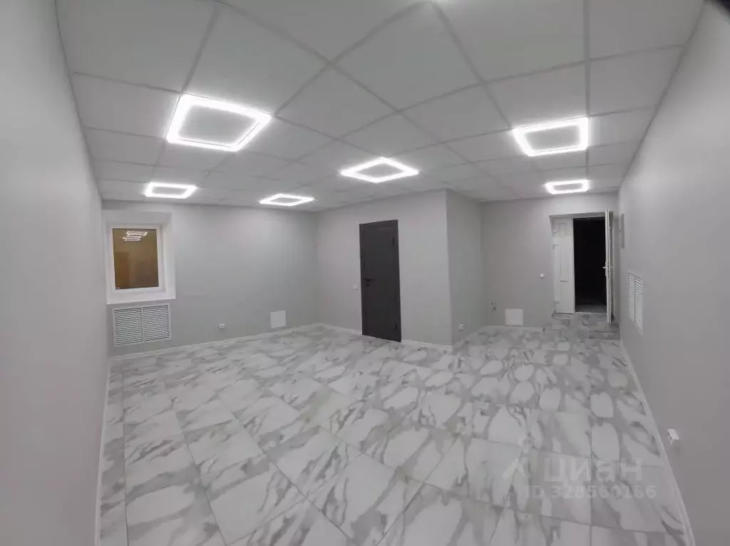 Помещение свободного назначения в Санкт-Петербург Угловой пер., 7 (42 ... - Фото 2