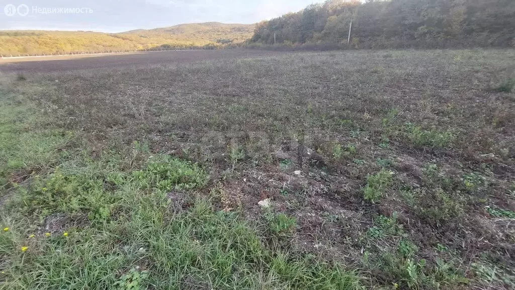 Участок в посёлок городского типа Приморский, улица Просвещения ... - Фото 0