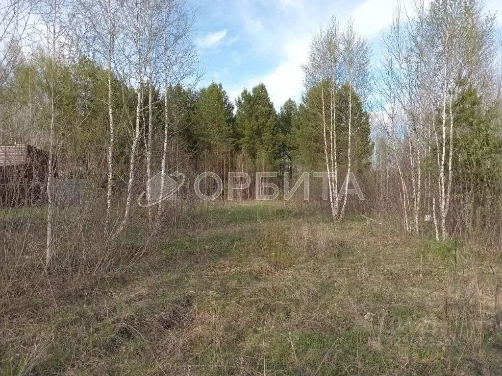 Участок в Тюменская область, Тюменский муниципальный округ, д. ... - Фото 2