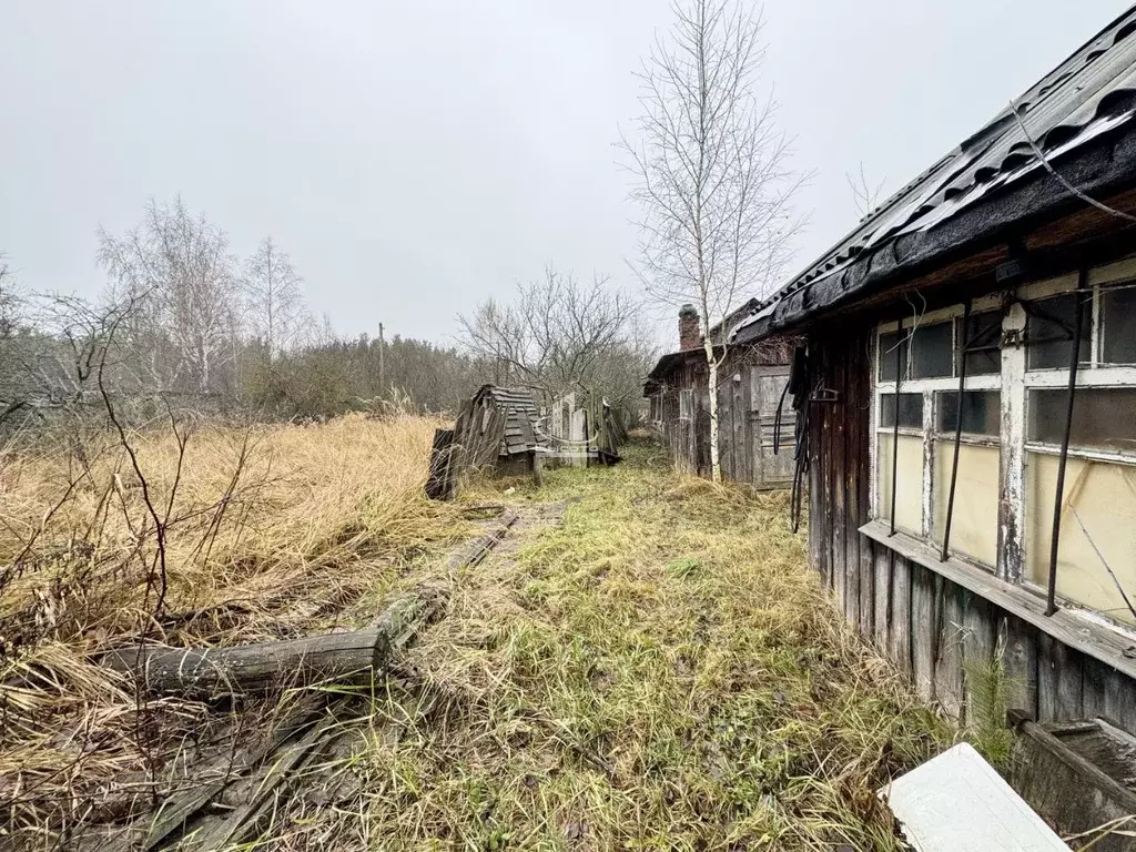 Участок в Рязанская область, Клепиковский район, с. Криуша  (12.5 ... - Фото 2