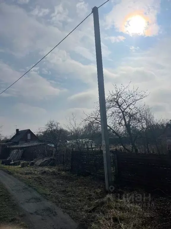 Участок в Калининградская область, Черняховск ул. Гусевское Шоссе ... - Фото 1