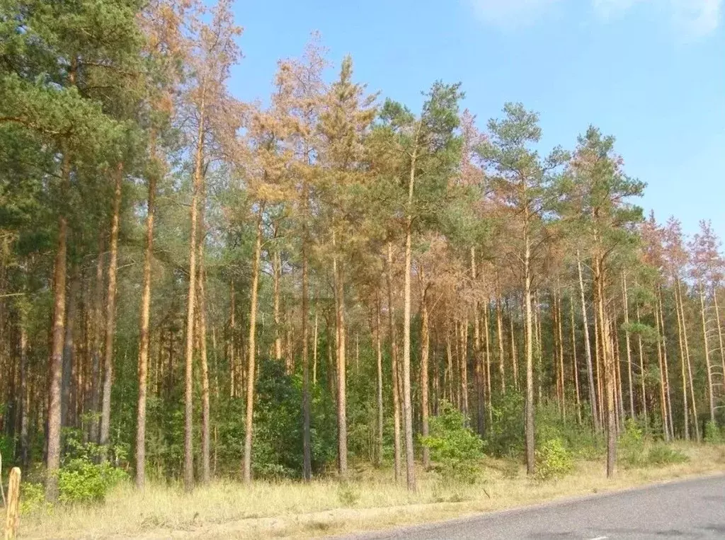 Участок 8,2 сот. (ИЖС) - Фото 1