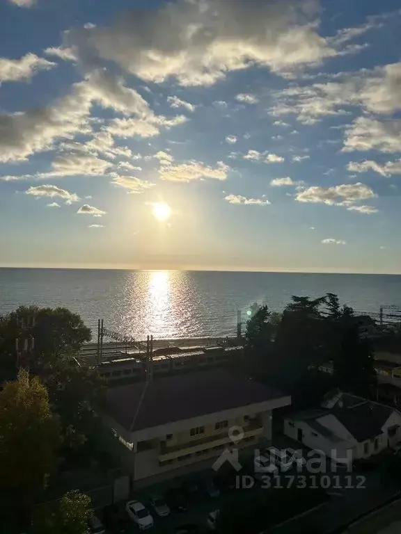 Студия Краснодарский край, Сочи городской округ, Дагомыс пгт ул. ... - Фото 1