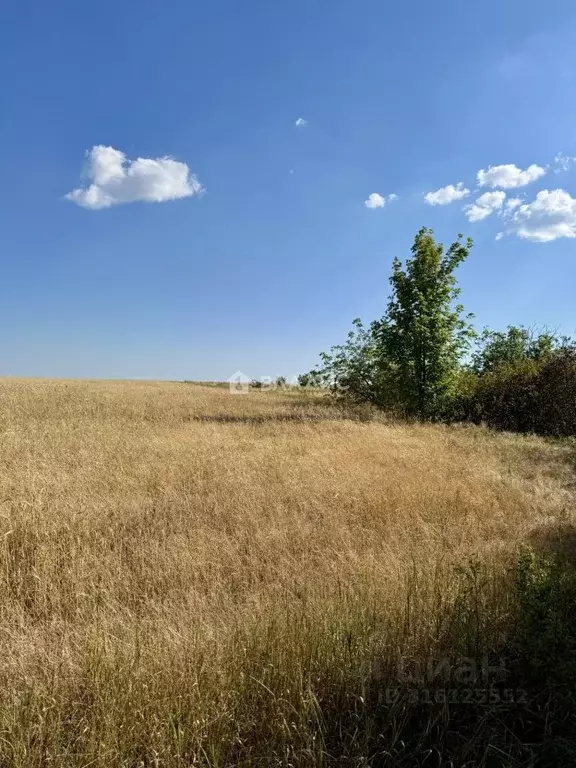 Участок в Ростовская область, Неклиновский район, Лакедемоновское ... - Фото 1