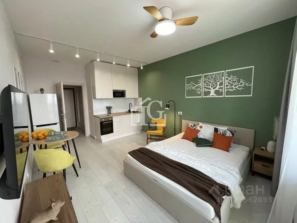 Студия Санкт-Петербург Фарфоровская ул., 7к2 (24.3 м) - Фото 1