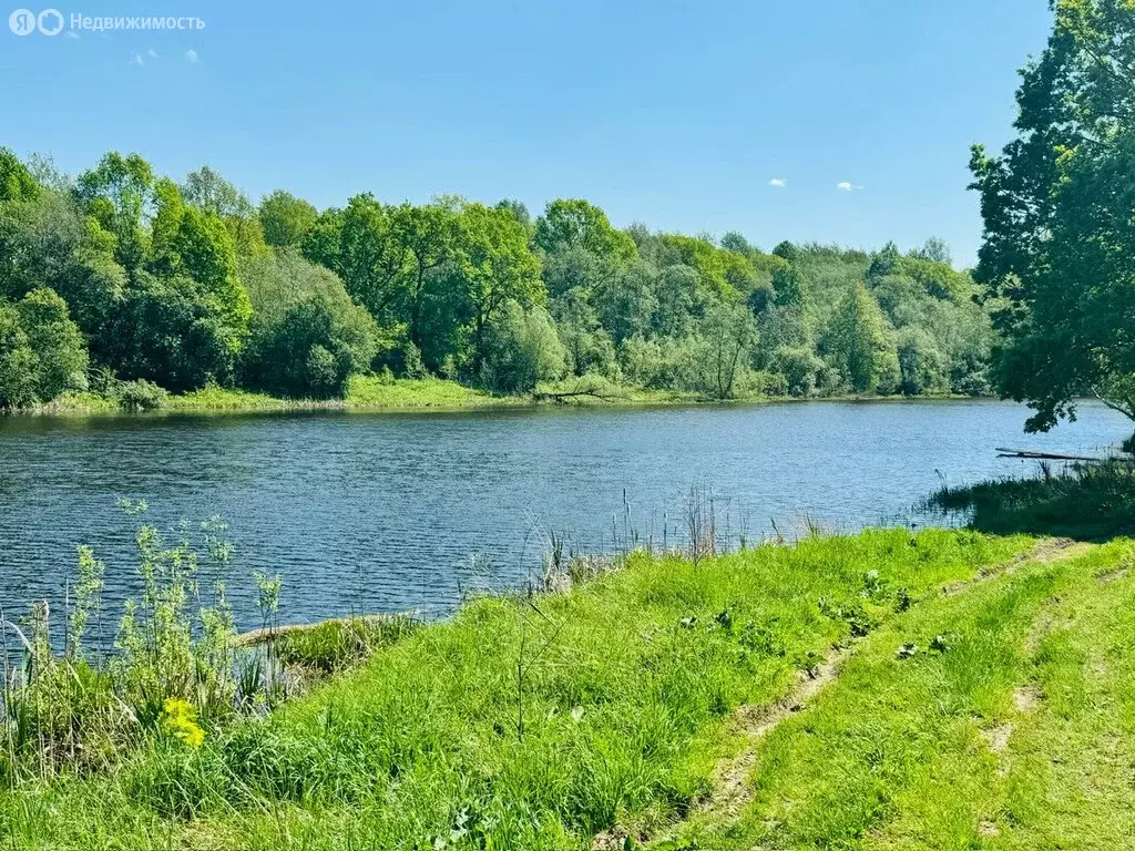 Участок в Ярославская область, Переславль-Залесский муниципальный ... - Фото 0