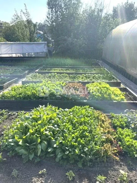 Дом в Иркутская область, Иркутский муниципальный округ, Озон СНТ  (50 ... - Фото 2