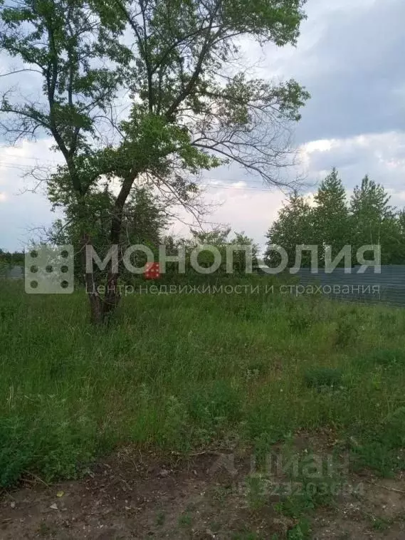 Участок в Амурская область, Серышевский муниципальный округ, с. ... - Фото 1