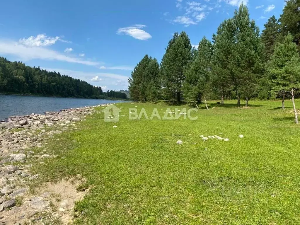 Участок в Алтай, Турочакский район, с. Тулой  (20.0 сот.) - Фото 2