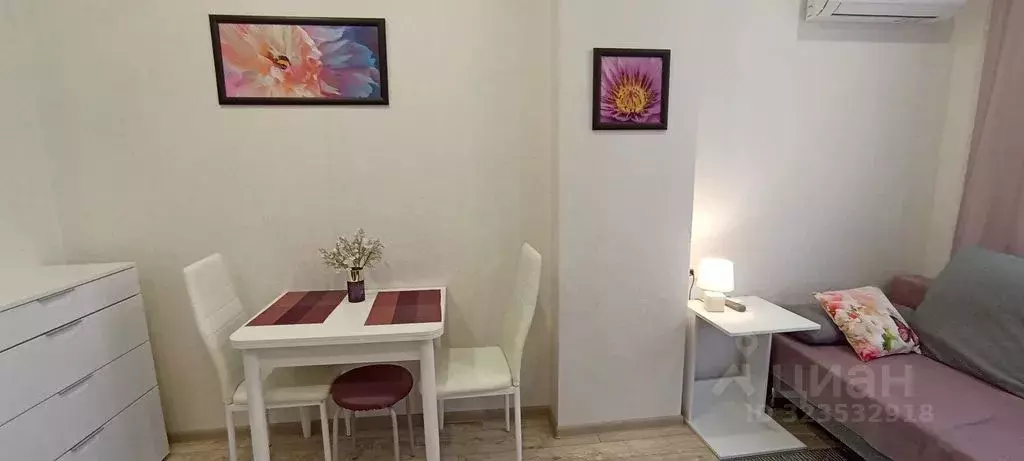 1-к кв. Краснодарский край, Сочи ул. Гастелло, 28к1 (25.0 м) - Фото 2