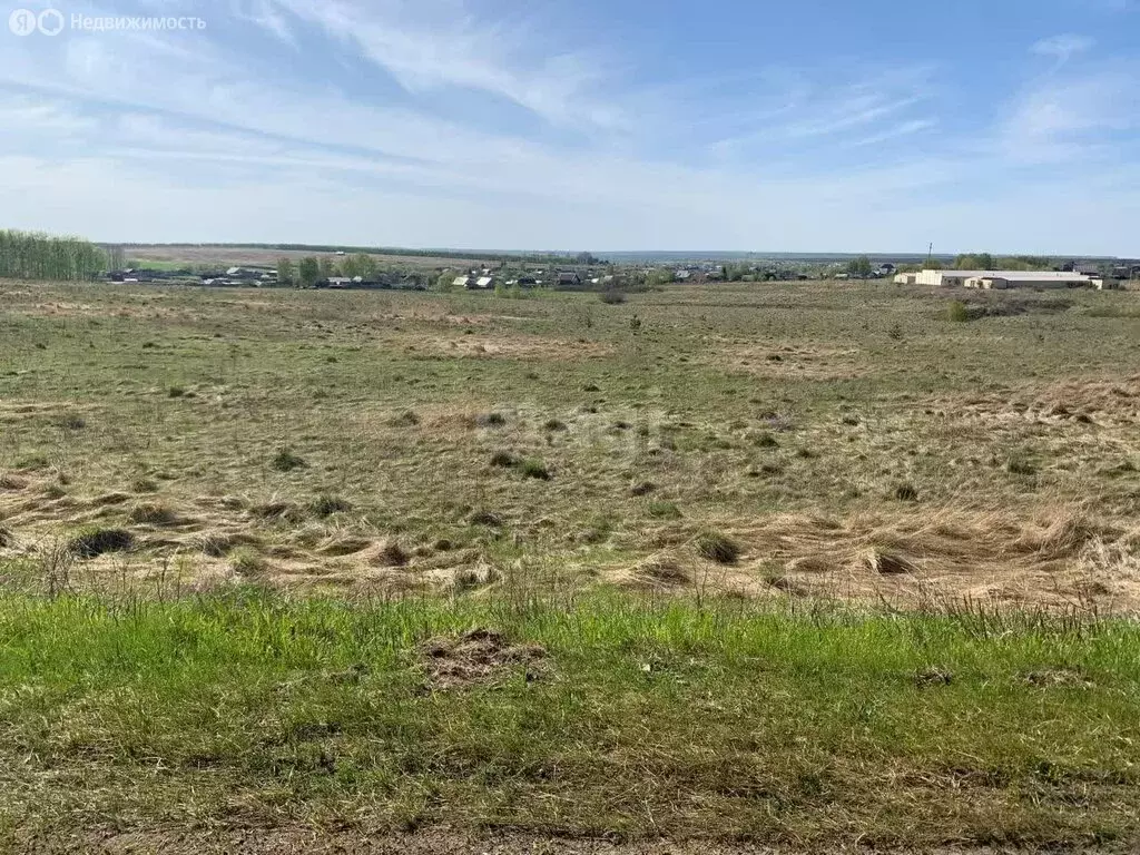 Участок в Республика Мордовия, село Кочкурово (10.7 м) - Фото 1