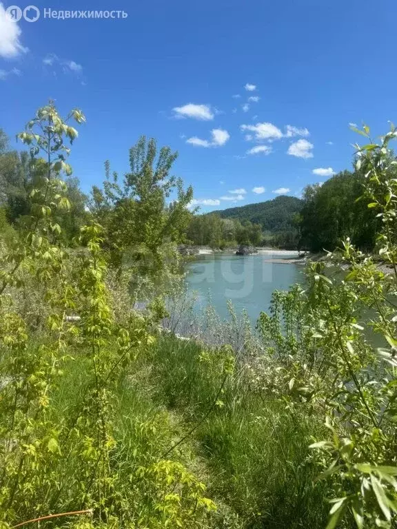 Участок в село Нижнекаянча, улица Усть-Уба (10 м) - Фото 1