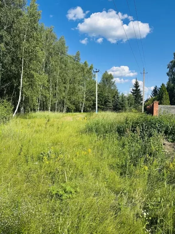 Участок в Московская область, Егорьевск муниципальный округ, д. ... - Фото 1