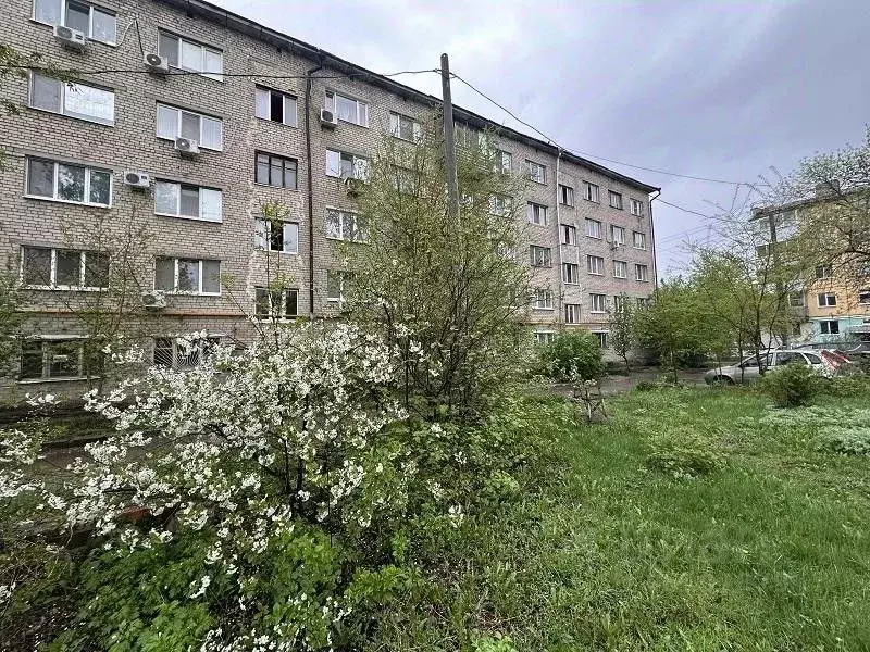 Комната Самарская область, Самара ул. Михаила Сорокина, 3 (17.0 м) - Фото 0