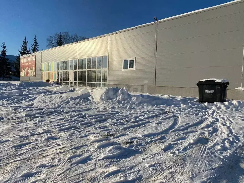 Помещение свободного назначения в Мордовия, с. Лямбирь ул. Ленина, 1Г ... - Фото 1