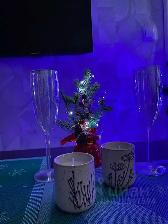 Студия Ленинградская область, Выборг ул. Сторожевой Башни, 10 (16.0 м) - Фото 1