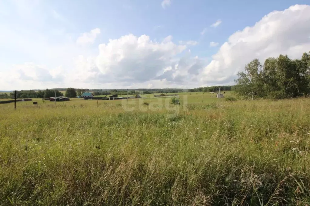Участок в Красноярский край, Емельяново пгт ул. Аленушки, 67 (8.0 ... - Фото 0