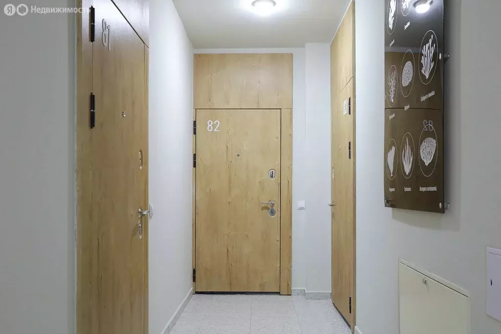 Квартира-студия: Пионерский, Октябрьская улица, 6Б (30 м) - Фото 1