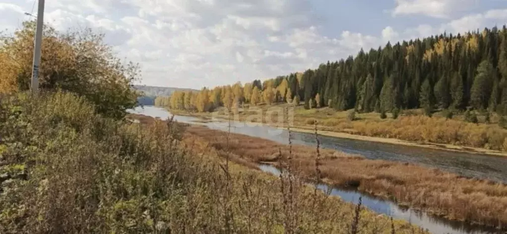 Участок в Свердловская область, Нижний Тагил городской округ, с. Сулем ... - Фото 0