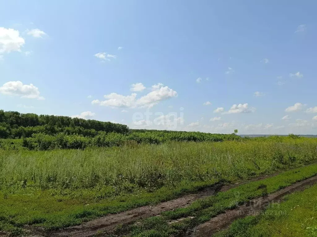 участок в башкортостан, стерлитамакский район, д. казадаевка ул. . - Фото 1