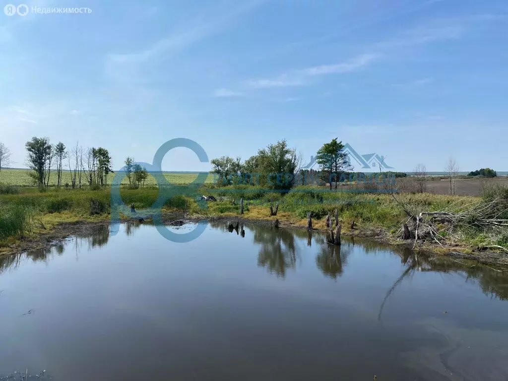 Участок в Саратовская область, Новобурасский муниципальный район, ... - Фото 1