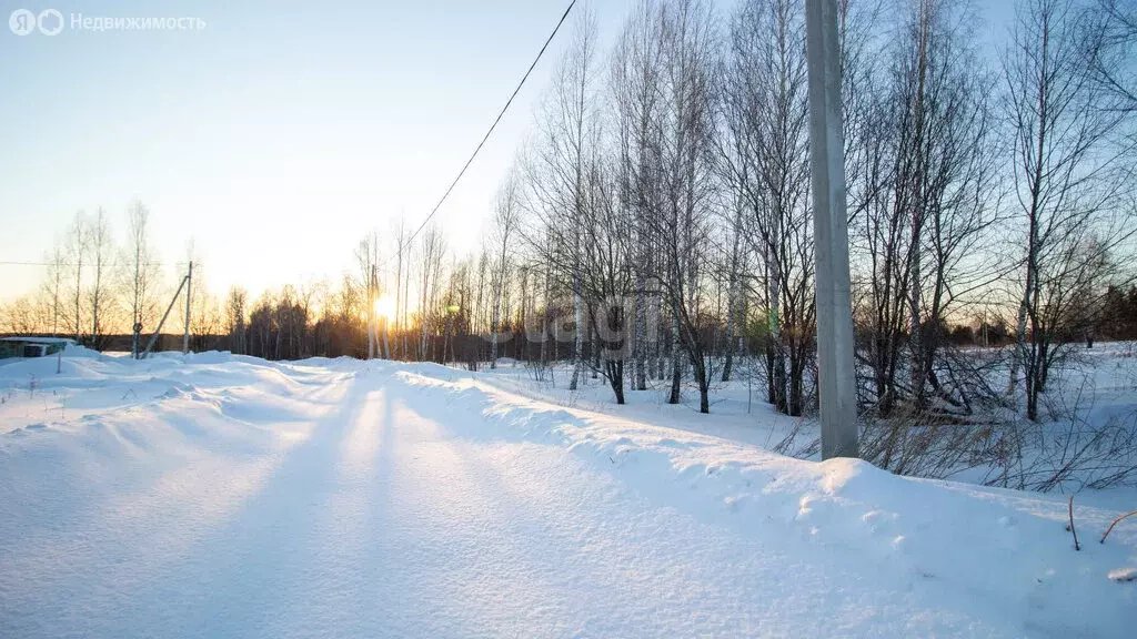 Участок в Томск, микрорайон Каменка, Тихая улица (15 м) - Фото 1