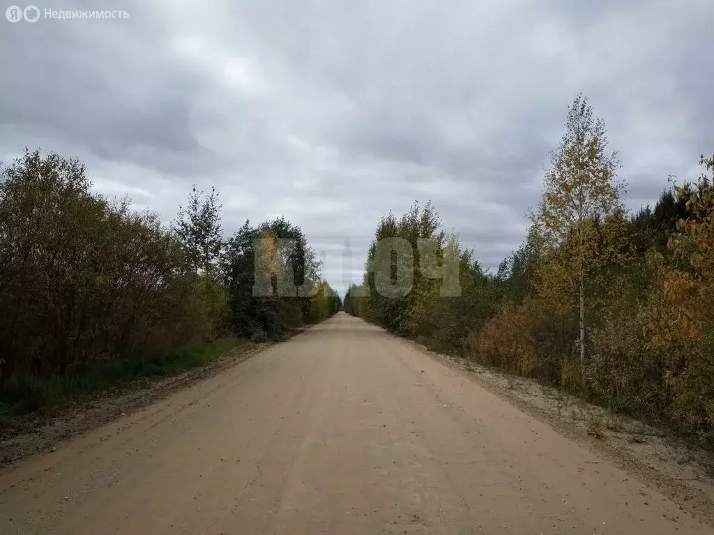 Участок в Вологодская область, Усть-Кубинский муниципальный округ, ... - Фото 1